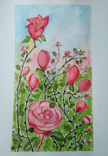 Lynne, roses, watercolour.
